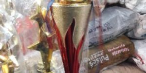 Designer Fiber Trophy