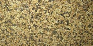 Royal Cream Granite Slab