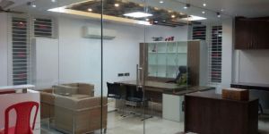 Frameless Glass Partition