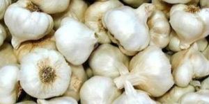 Fresh Natural Garlic
