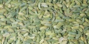 Organic Fennel Seeds