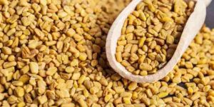 Organic Fenugreek Seeds