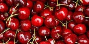 Fresh Cherry