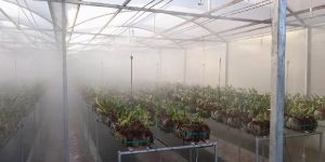 Greenhouse Fogger