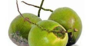 Natural Tender Coconut