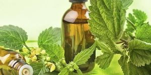 Bio Venom K2C Oil