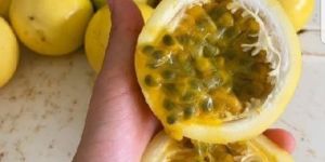 Passion Fruit