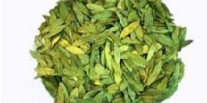 Senna Leaves (Sanay)