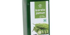 Karela Juice