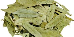 Senna Leaves
