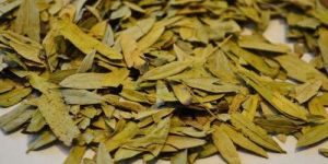 Senna Leaves