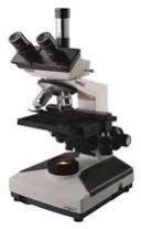 Trinocular Microscope