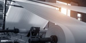 Sodium Bentonite - Paper Grade