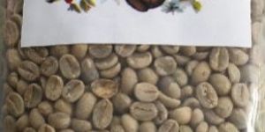Washed Arabica Coffee Beans B
