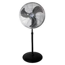 Pedestal Fans