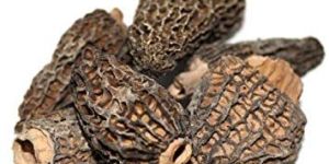 Special Grade Dried Morels