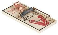 Mouse Trap