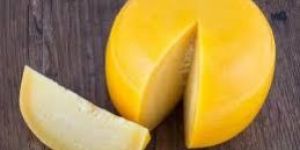 Gouda Cheese