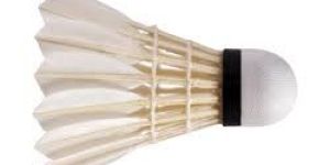 Badminton Shuttlecock