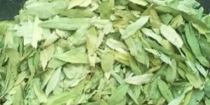Dry Senna Leaves