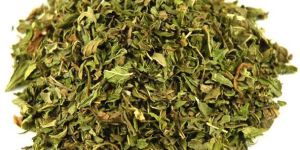 Spearmint Mentha Arvensis Leaves