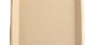 9 Inch Biodegradables Disposable Plate