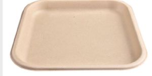 11 Inch Biodegradables Disposable Plate