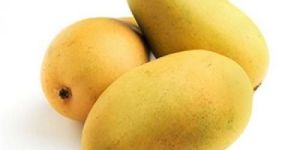 Fresh Kesar Mango