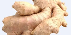 Fresh Natural Ginger