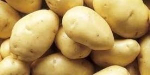 Fresh Potato