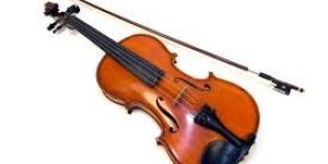 Violin