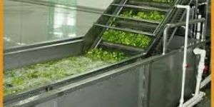Vegetable Washing Machine