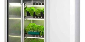 Plant Growth Chamber