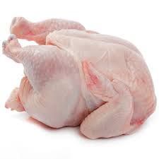 Fresh Chicken Meat