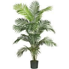 Decorative Artificial Plants