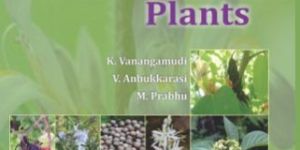 Medicinal Seeds and Plants