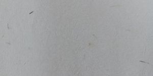 Seed Paper Sheet-MariGold