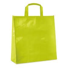 PP Woven Laminated Bag