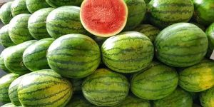 Fresh Watermelon