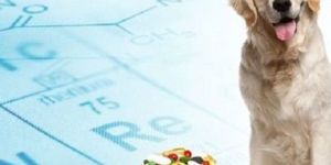 Veterinary Bolus Tablet