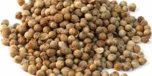 Organic Coriander Seeds