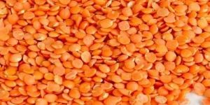 Organic Masoor Dal