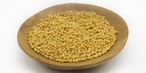 Organic Mustard Seeds