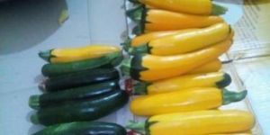 Yellow Zucchini