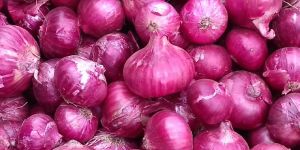 Red Onion