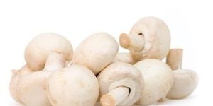 Fresh White Mushroom