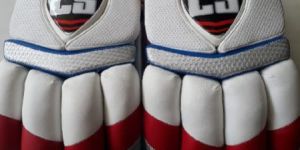 Cricket Wicket Keeping Gloves