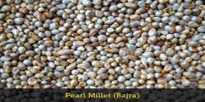 Pearl Millets
