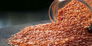 Red Lentils
