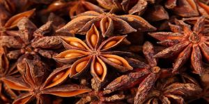 Star Anise Seeds